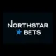 logo image for north star bets